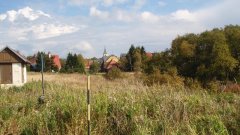 35_260_1318065706_334126_max (1)